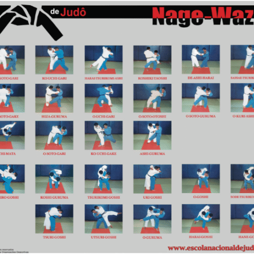 Pôster de Ashi-waza X Koshi-waza