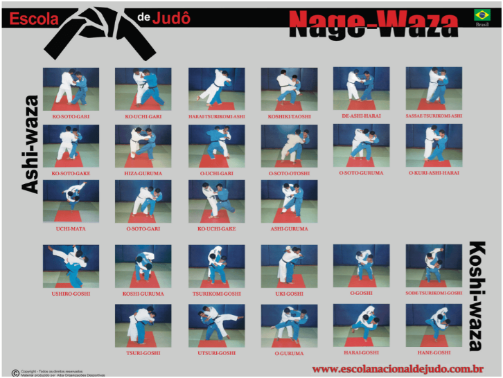 Pôster de Ashi-waza X Koshi-waza