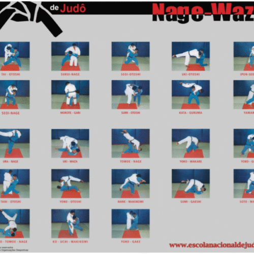 Pôster de Te-waza X Sutemi-waza