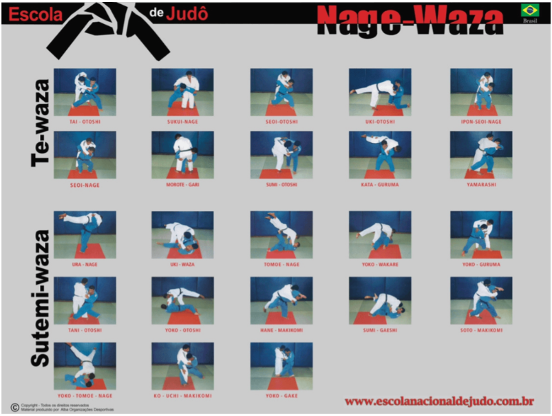 Pôster de Te-waza X Sutemi-waza