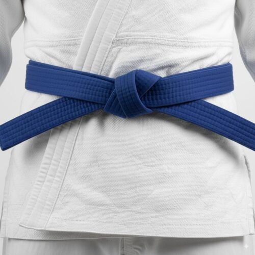 Material para Candidatos à Faixa Azul